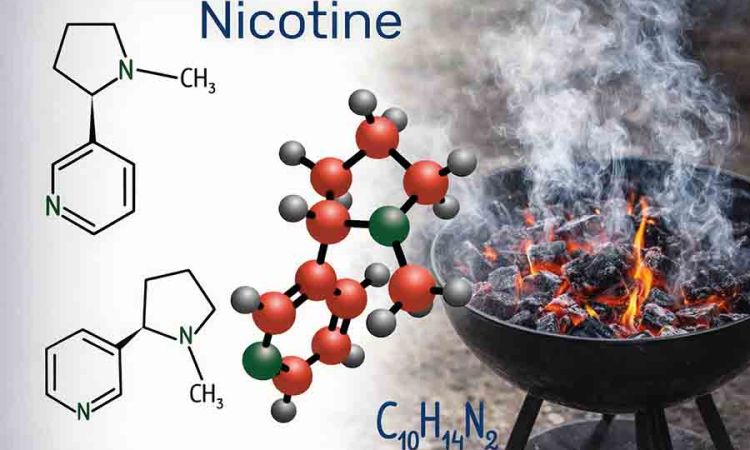 Clearing the Smoke About Nicotine by R.Perera